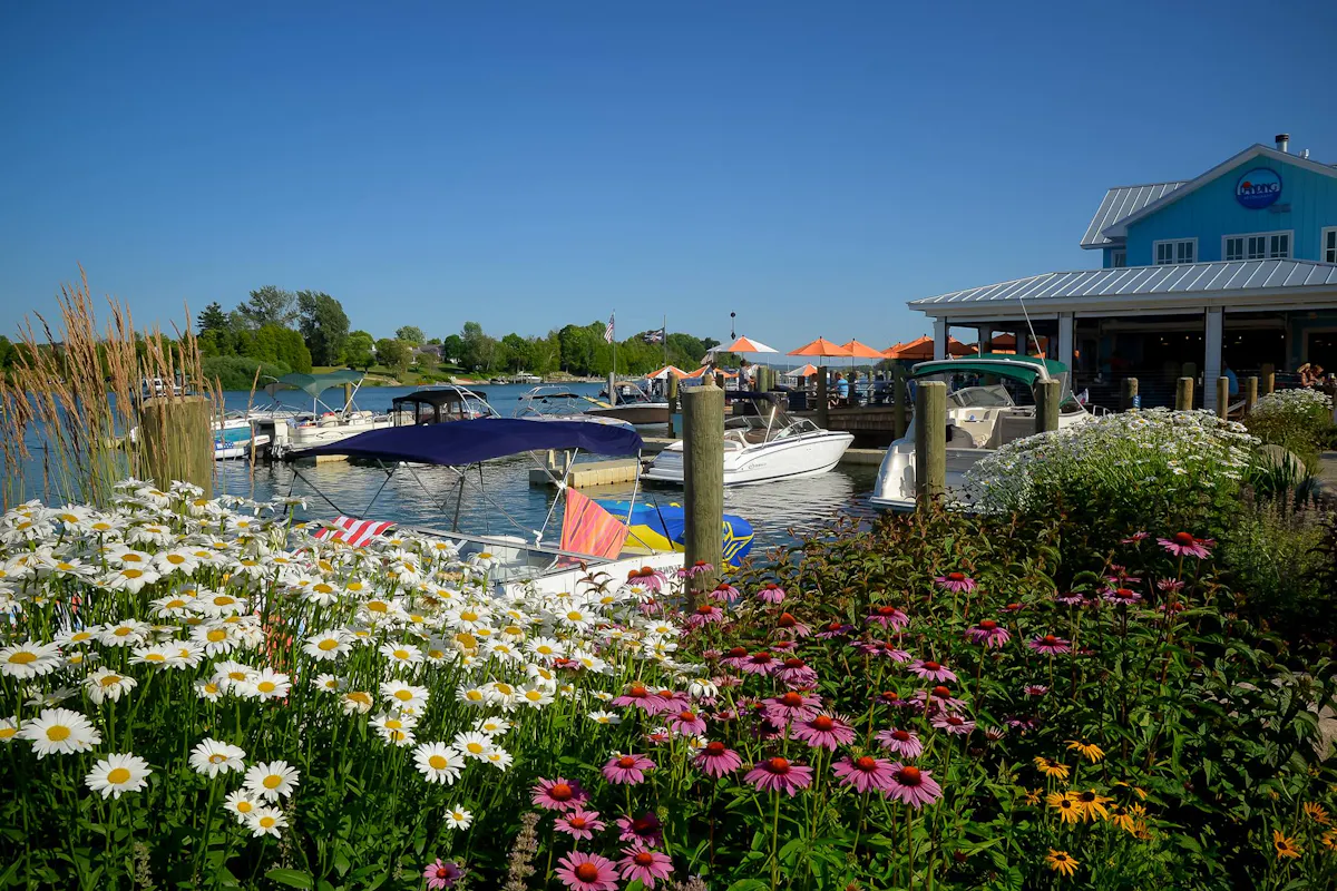 a close up of a flower garden in front of the lake