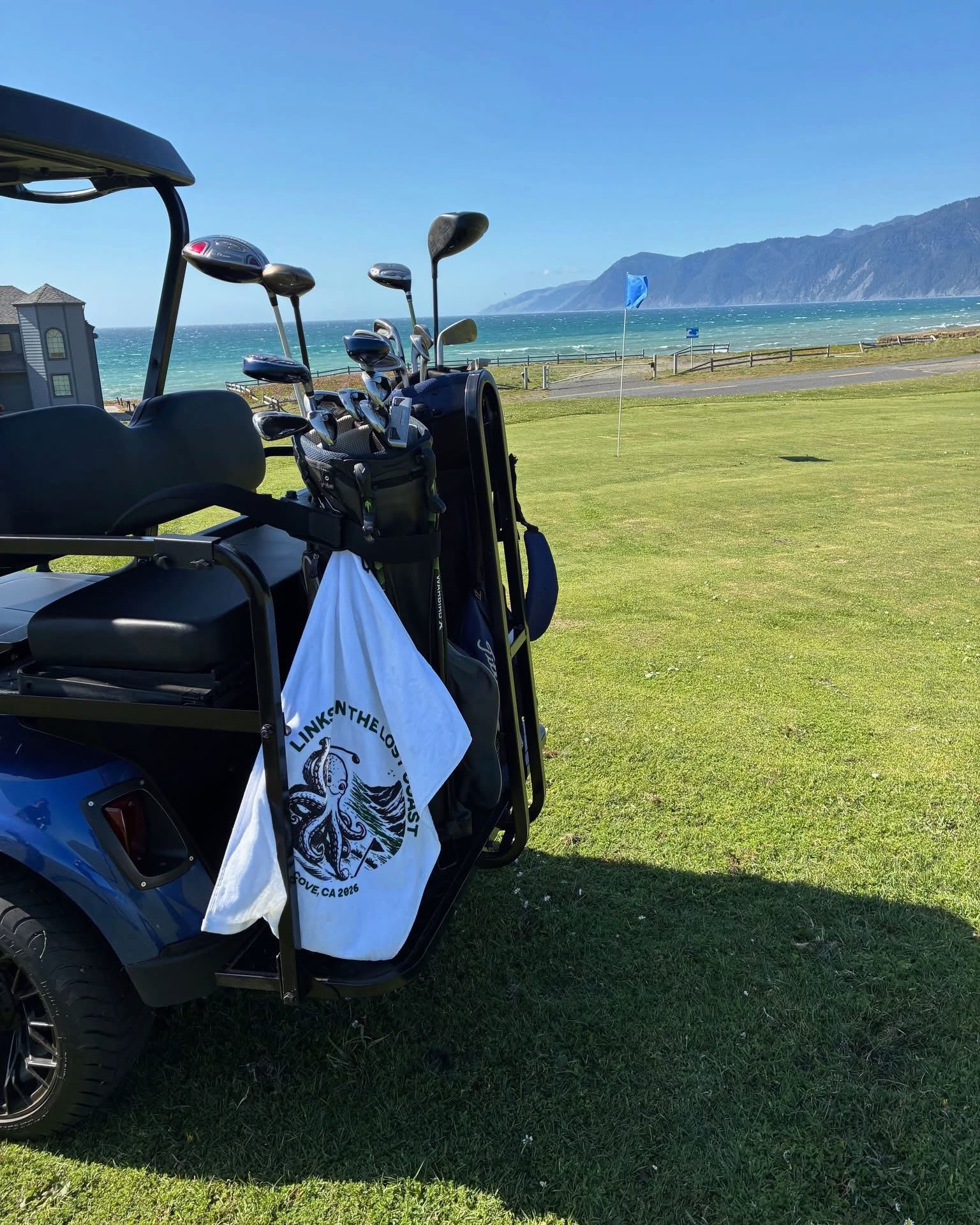 a golf cart with golf clubs on the back