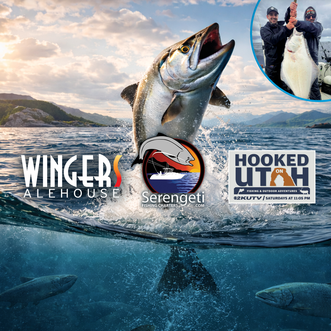 a fish jumping out of water with a man and a fishing pole