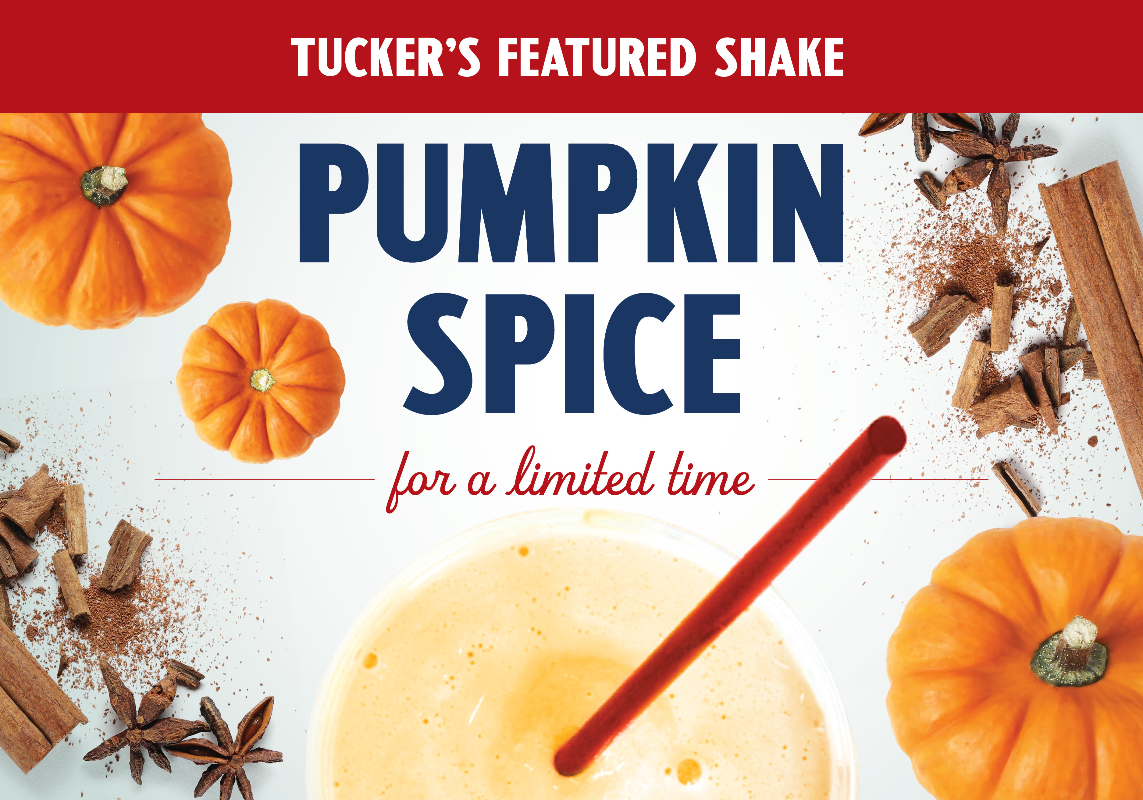 Pumpkin + Spice Milkshake