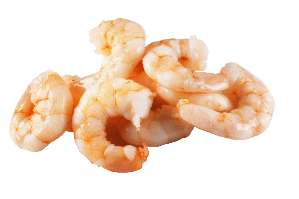 shrimps