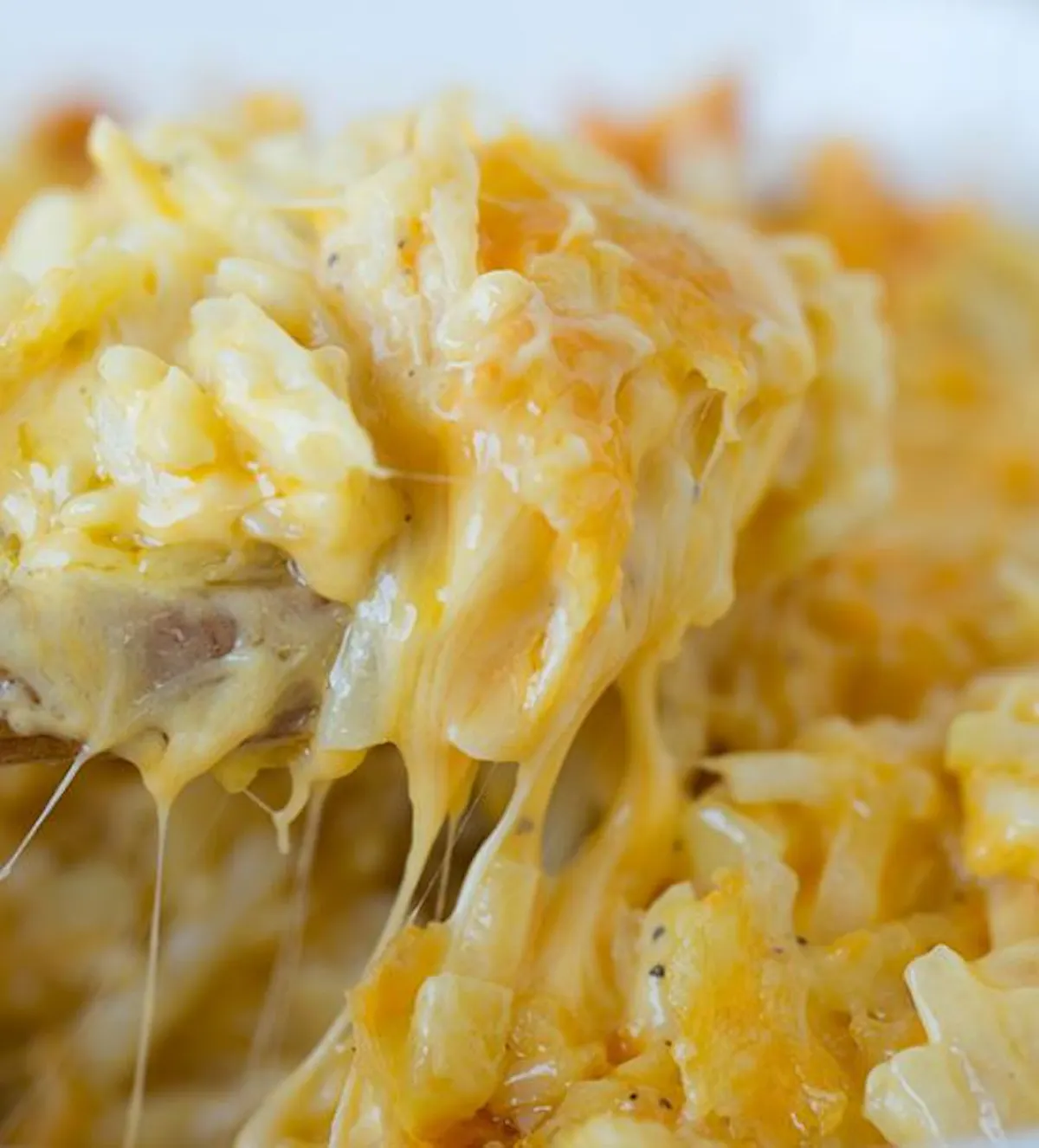 a close up of a plate of pasta with sauce and cheese