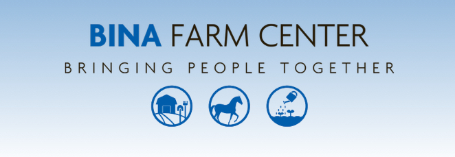 graphical user interface