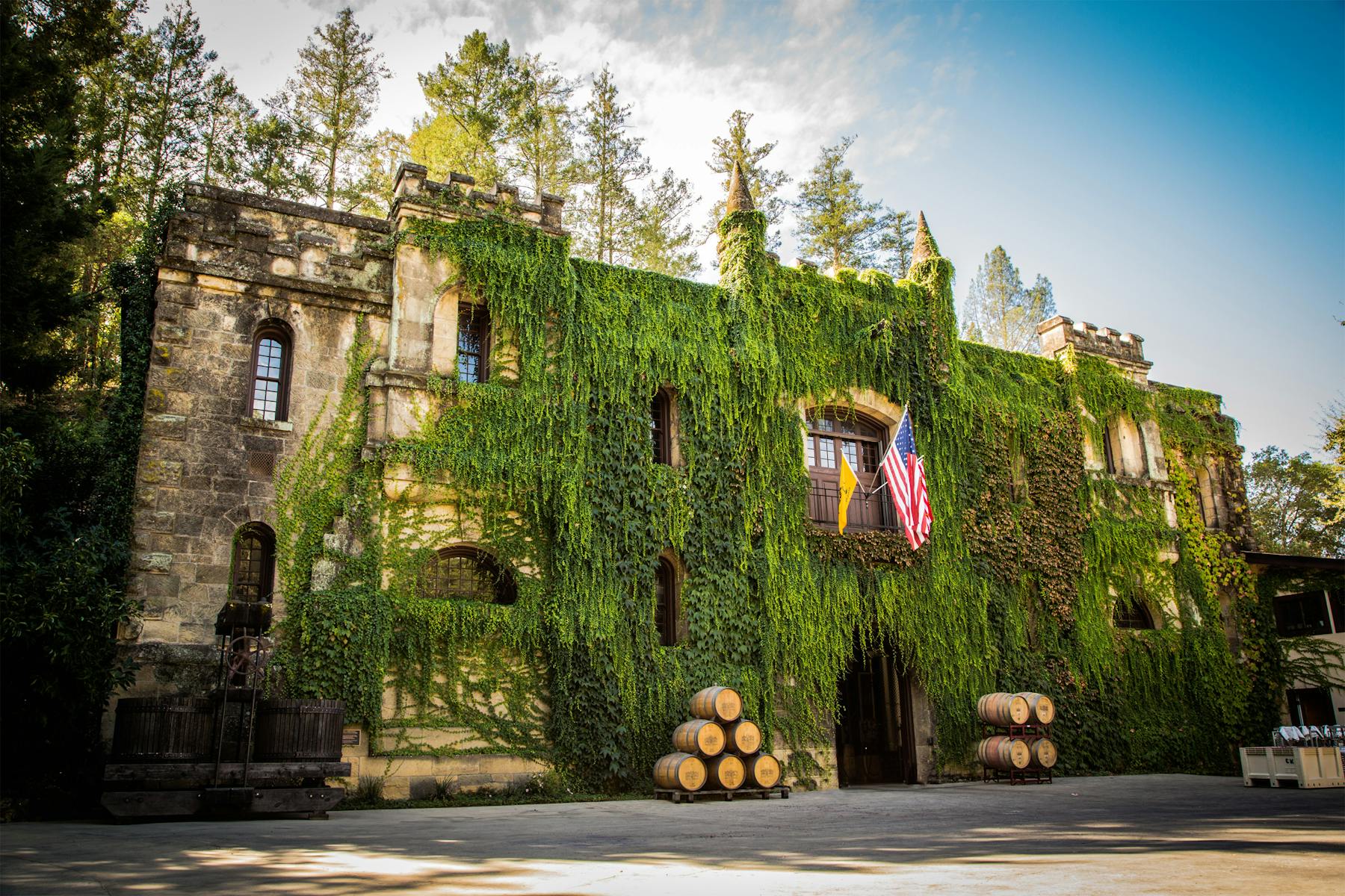 a tree in front of a building