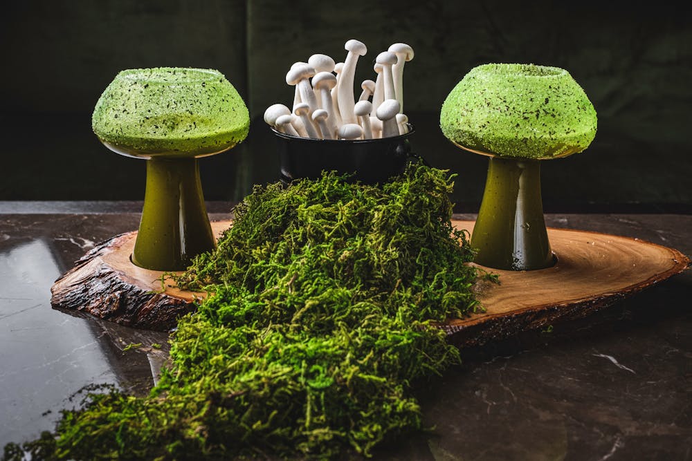 a vase full of water