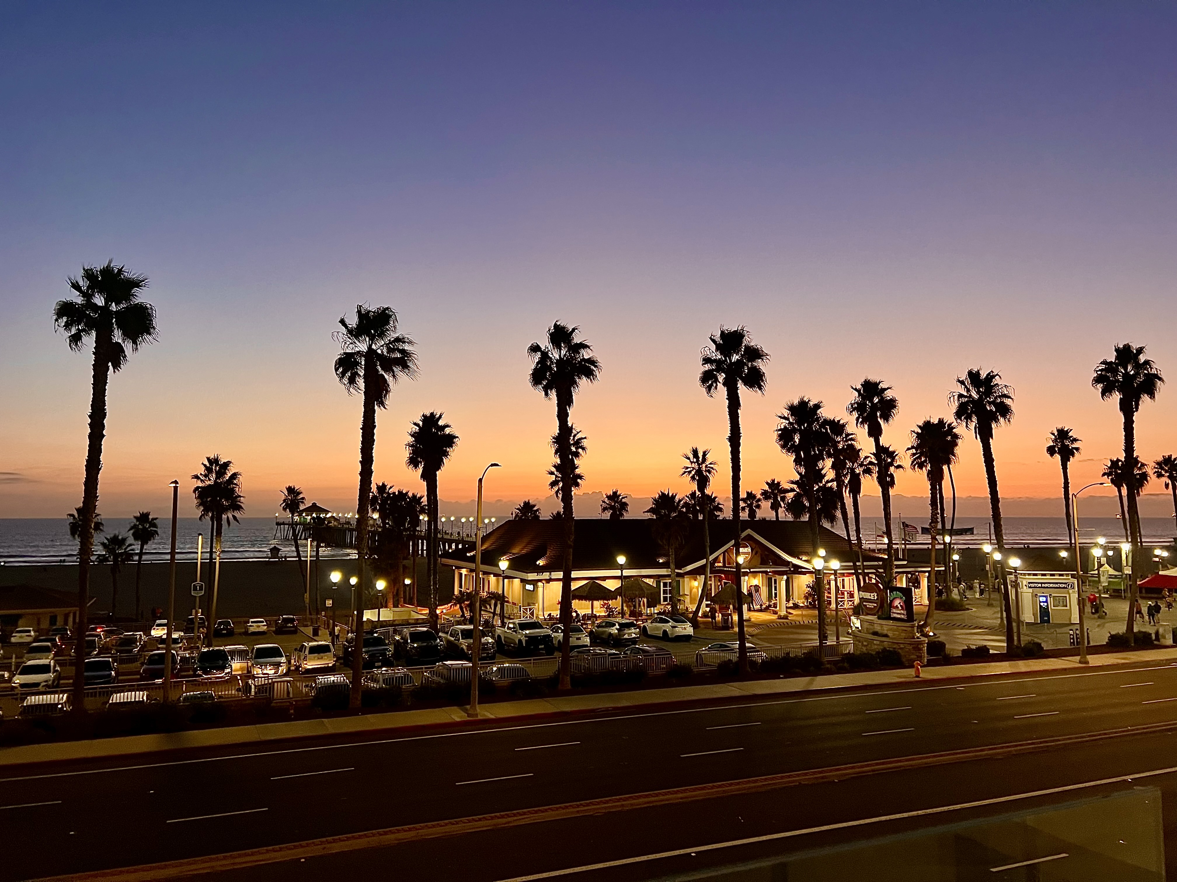a row of palm trees on the side of a road