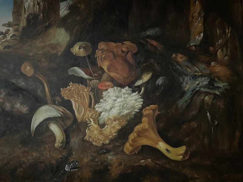 chanterelle room Palace Kitchen American Restaurant in Seattle, WA