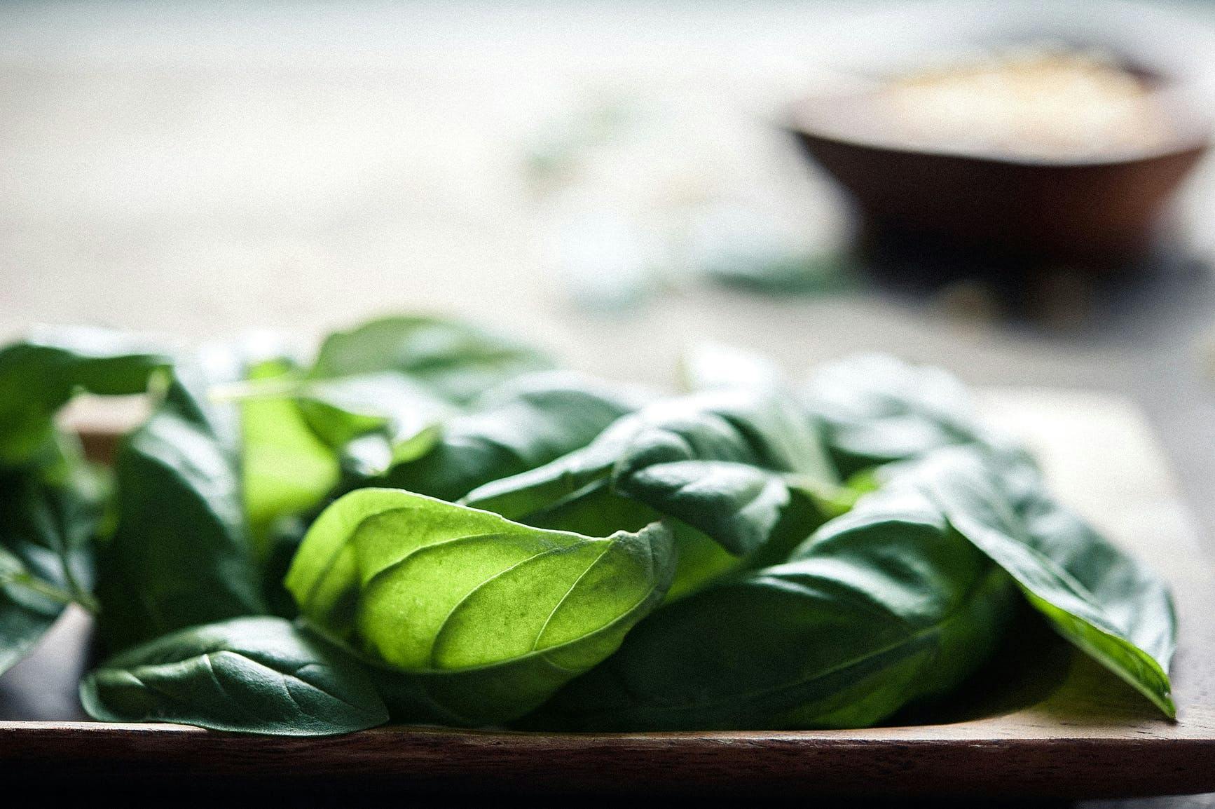 a close up of a green blanket