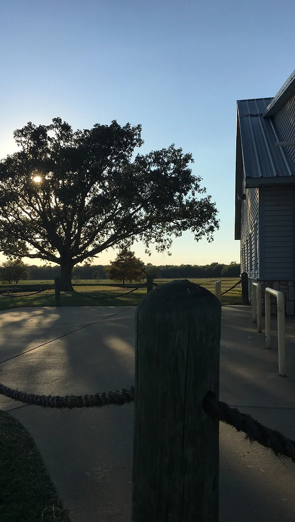 outdoors