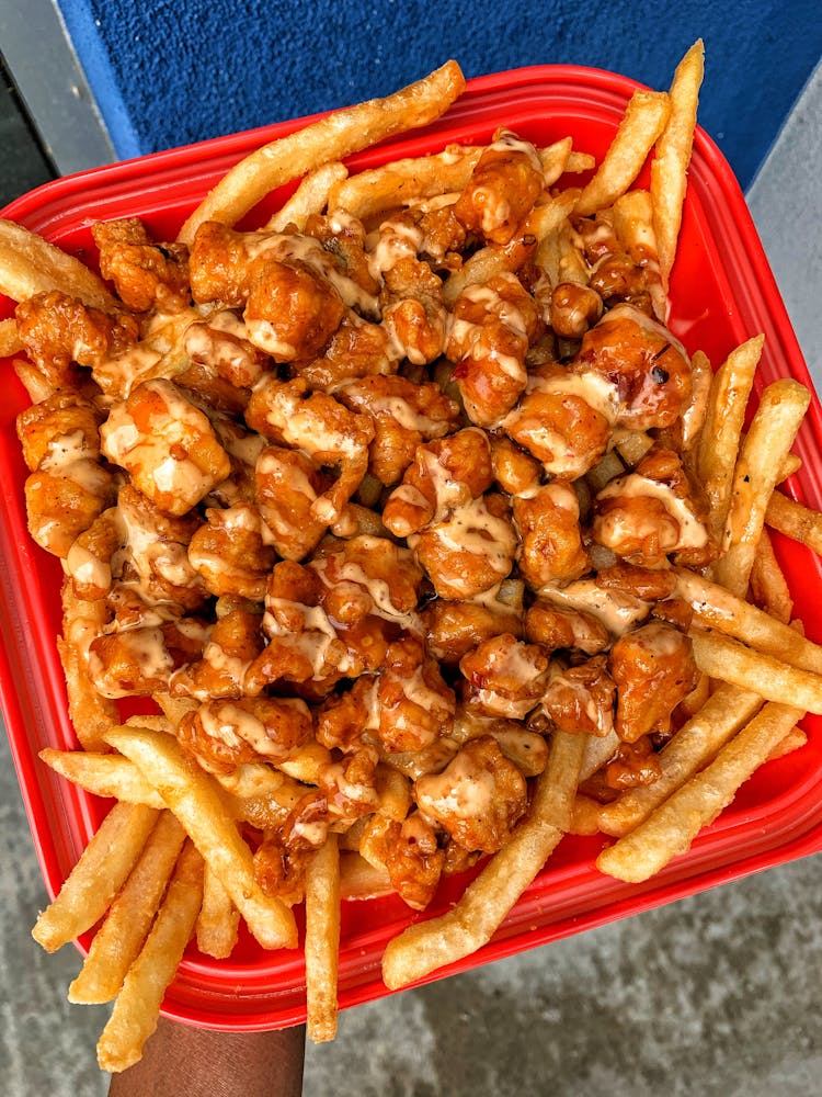 a hot dog on a bun next to a pile of fries