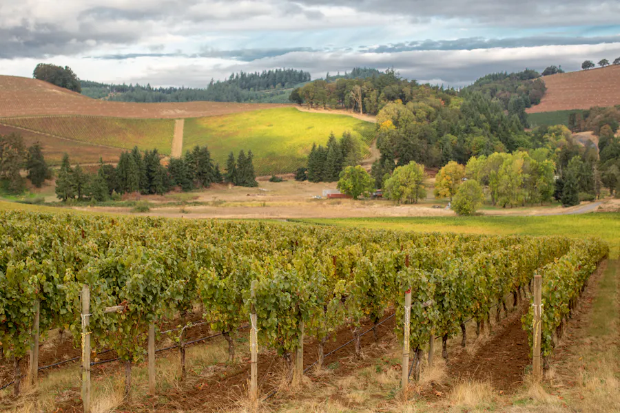 Oregon Wine Month Cutters Crabhouse