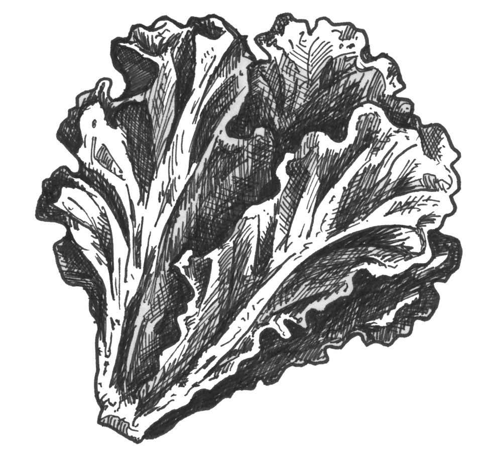 a close up of a flower