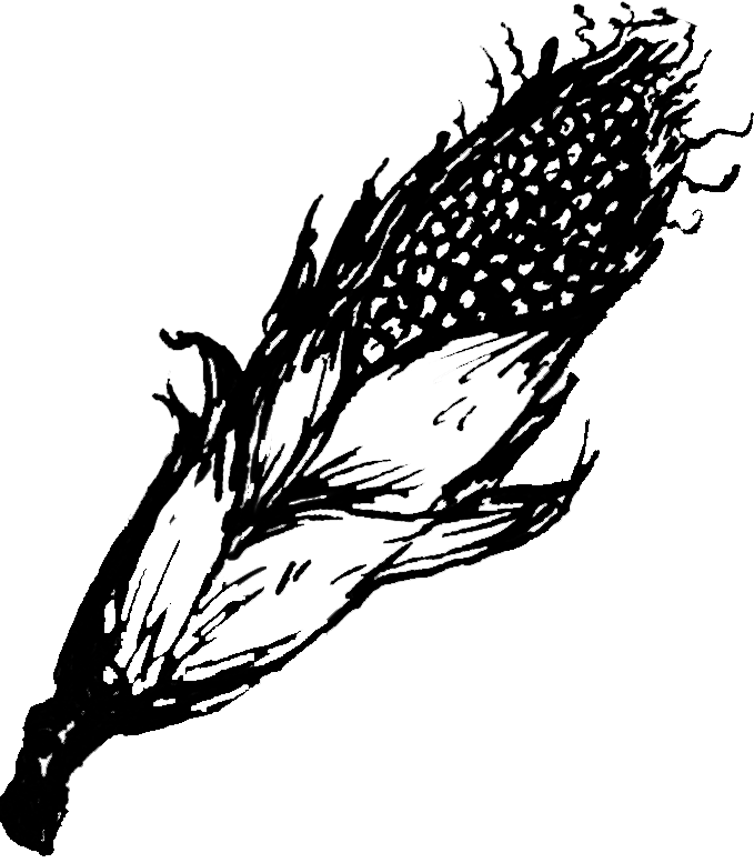 fireworks in the sky