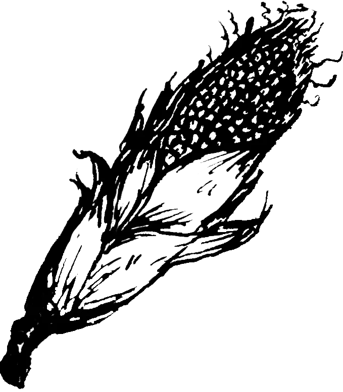 fireworks in the sky