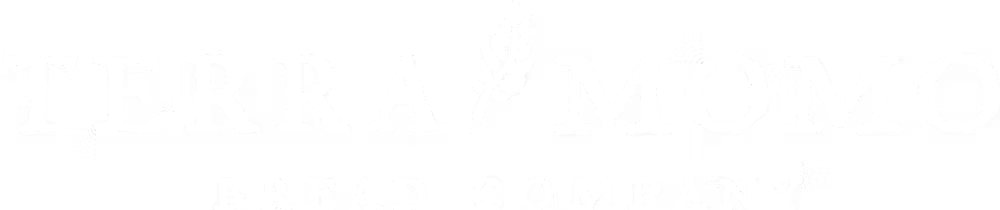 a close up of a logo