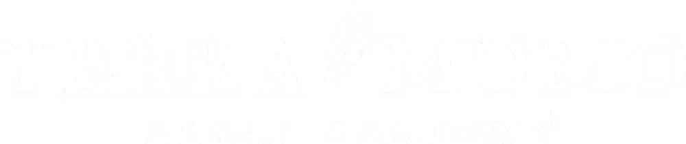 a close up of a logo