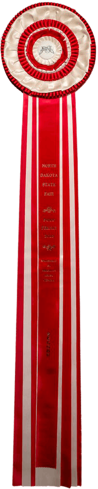 close up of an award