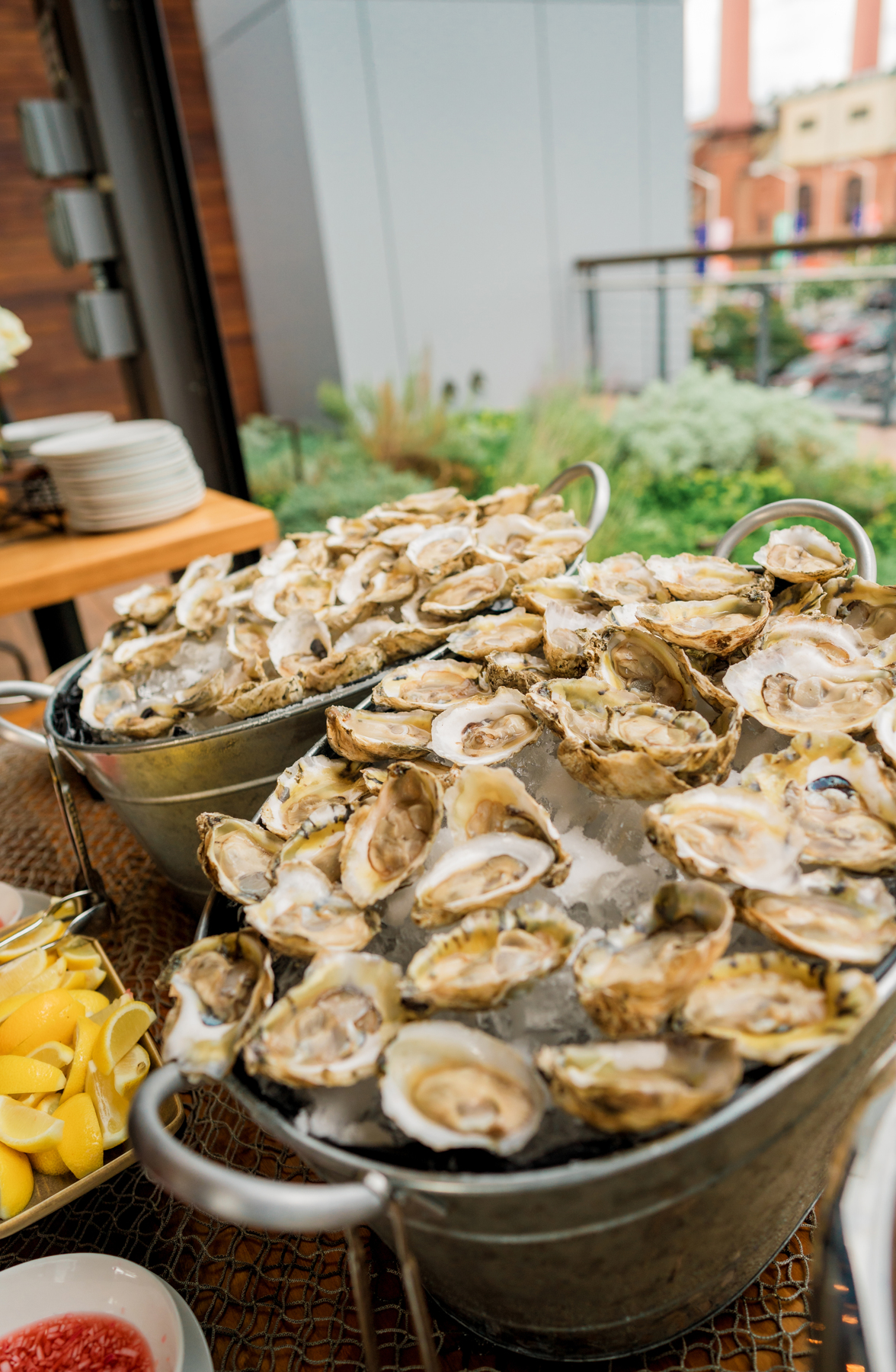a close up of half shell oysters chilling on ice on district winery's rooftop