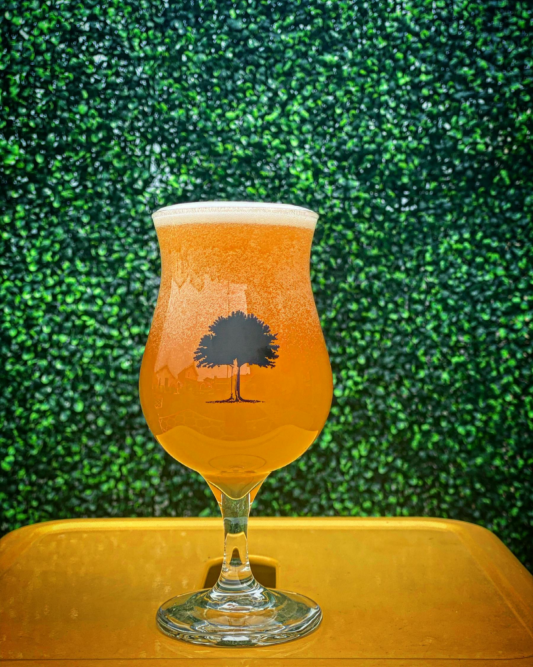 Sandy Springs Brewing Company