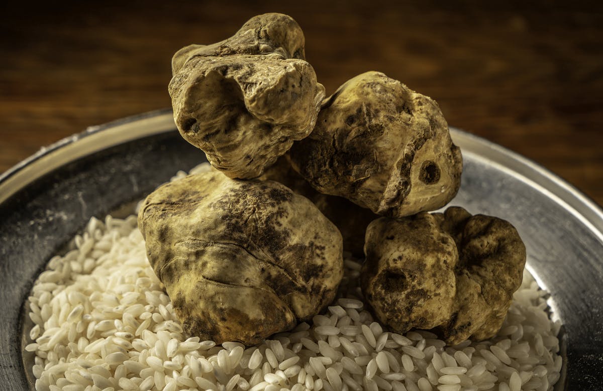 white truffles