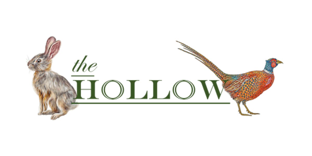 Home The Hollow In Columbia SC home-the-hollow-in-columbia-sc