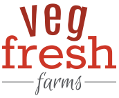 a close up of a logo