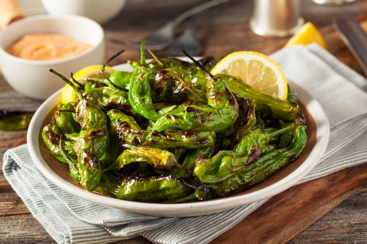 Plated Shishito Peppers