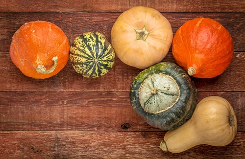 Different Types of Squash - Winter