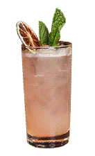 a glass of pink drink with a slice of orange and mint