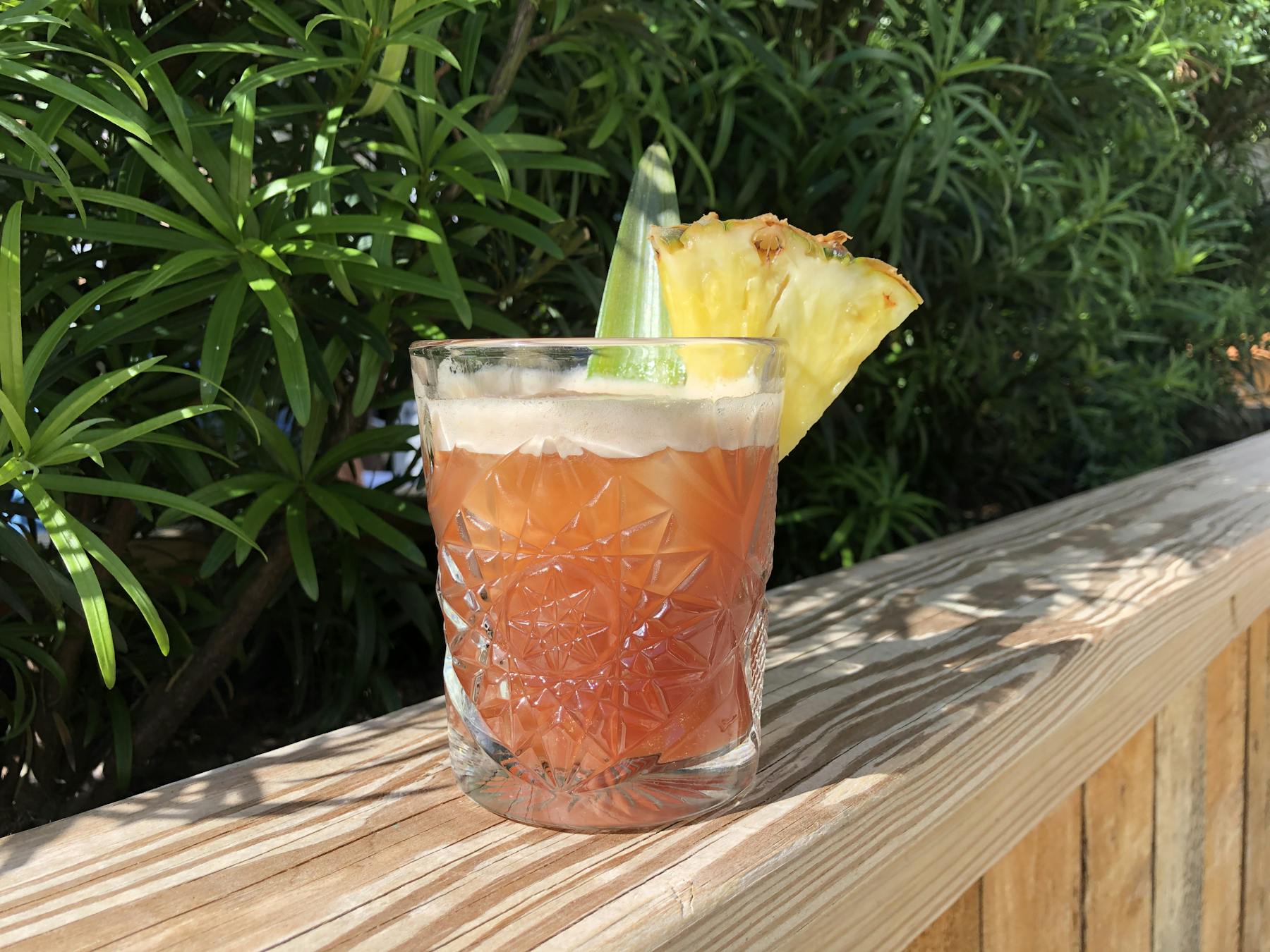 a glass of beer on a plant