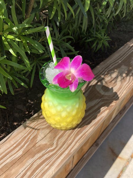 a close up of a flower pot sitting on top of a wooden table