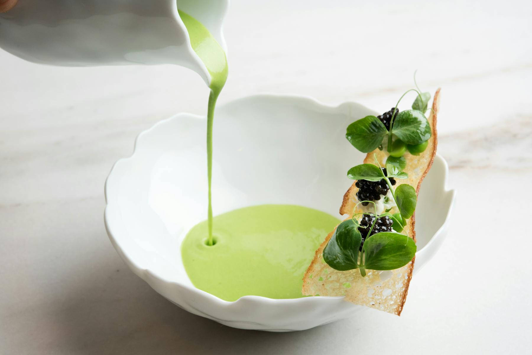 a broccoli soup