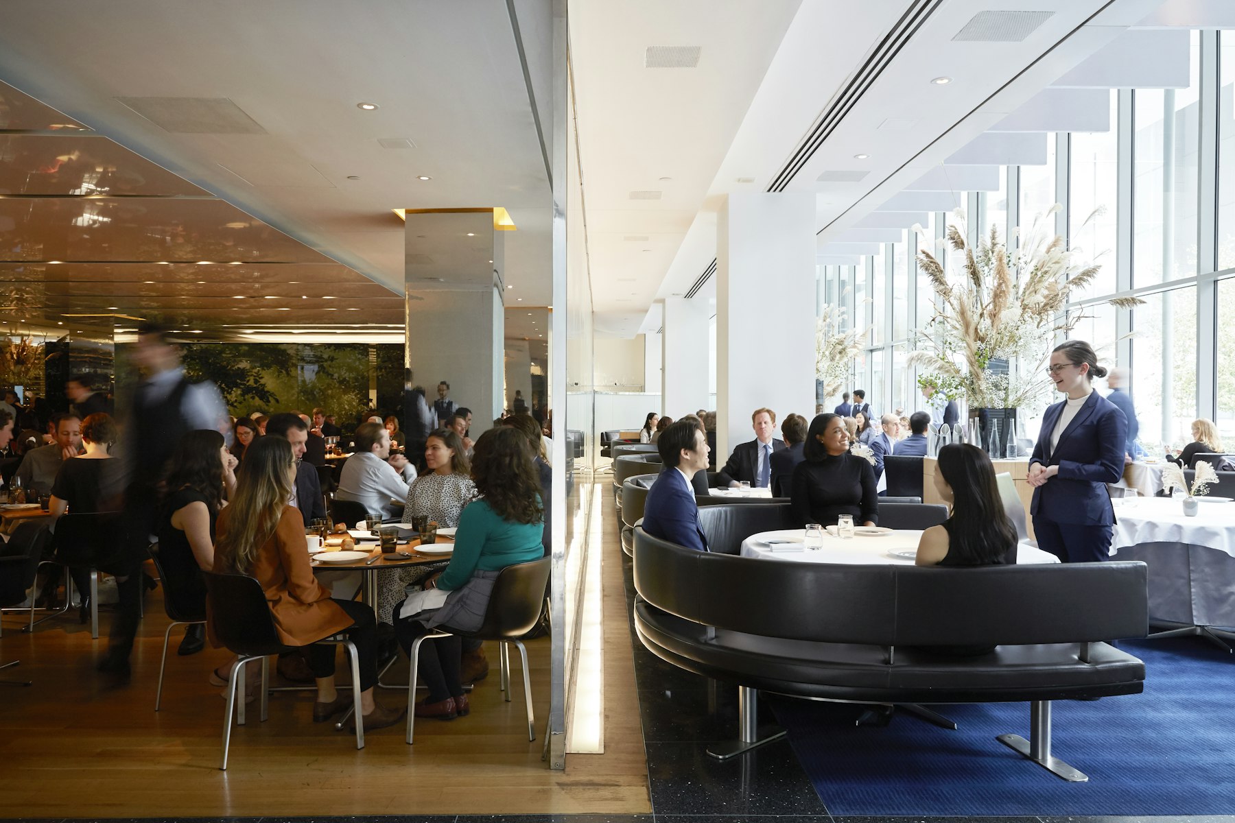 Https Wwwthemodernnyccom Https Wwwthemodernnyccom