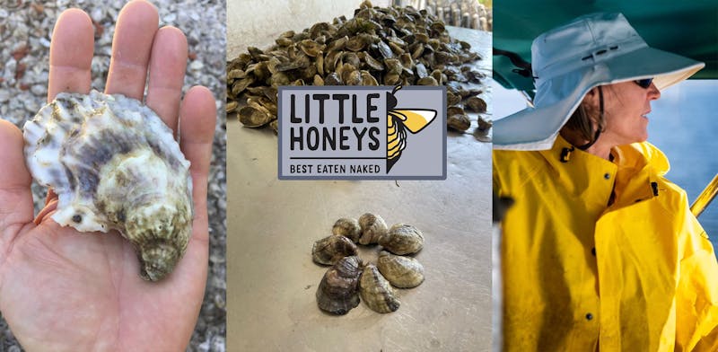 Little Honeys Oysters from Cypress Point Oyster Company