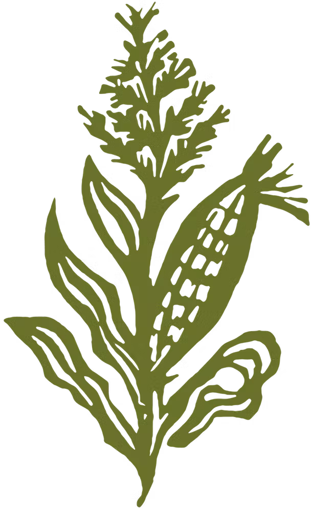 background pattern