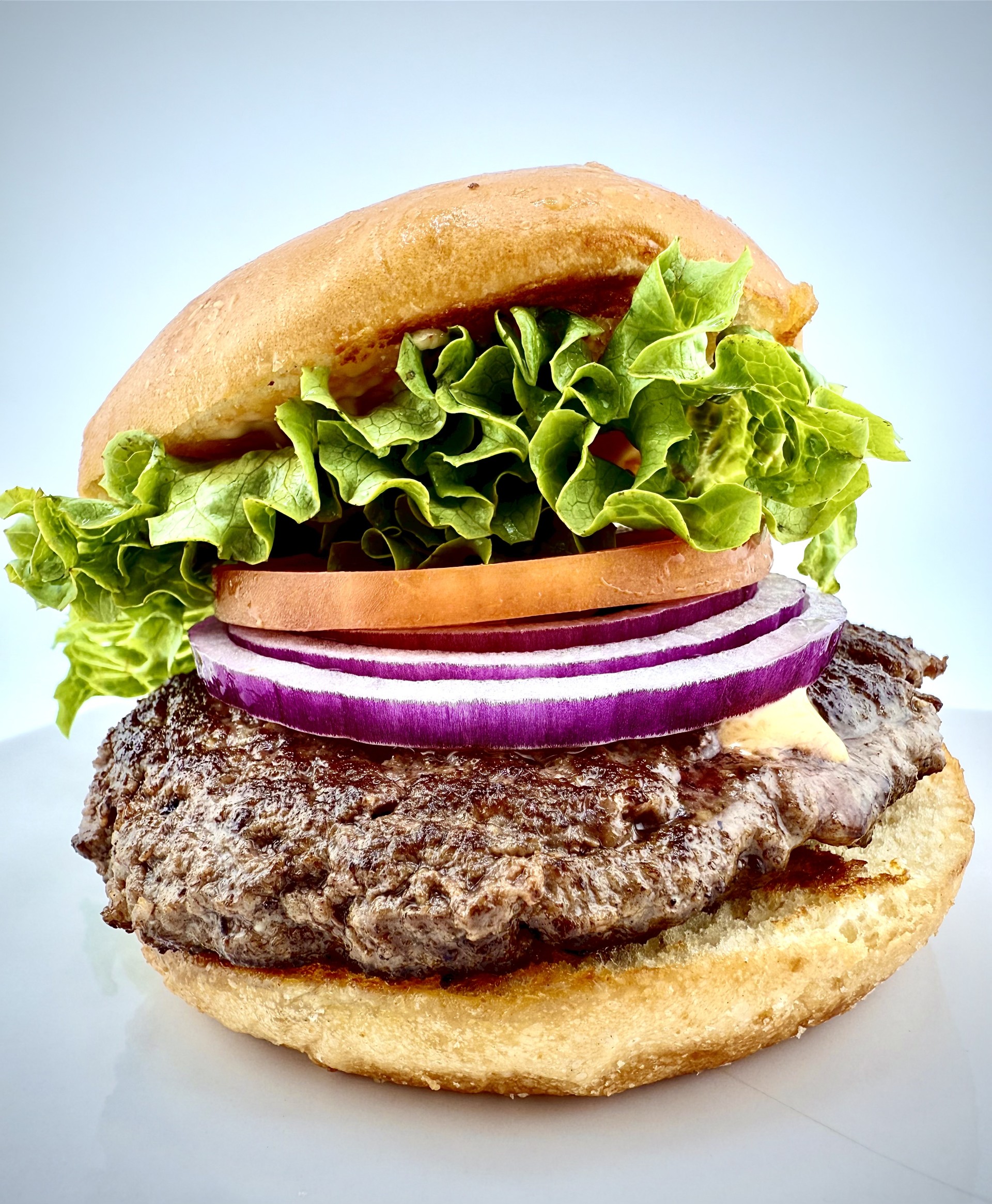 a sandwich cut in half on a plate