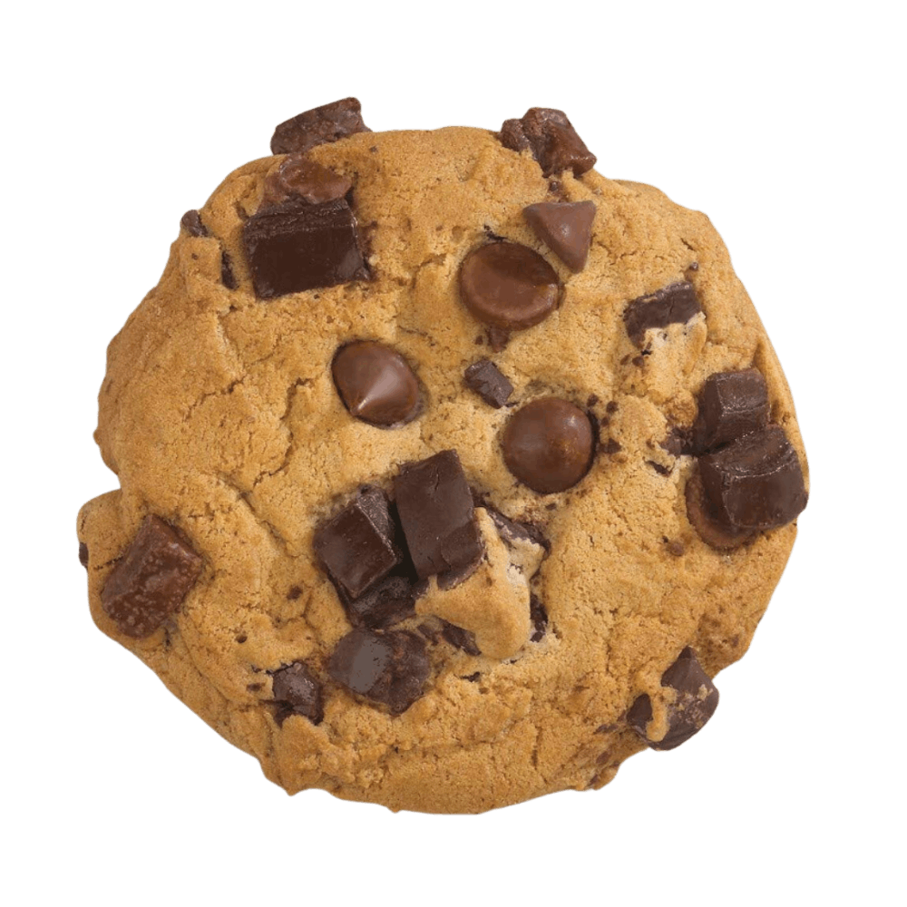 a chocolate chip cookie