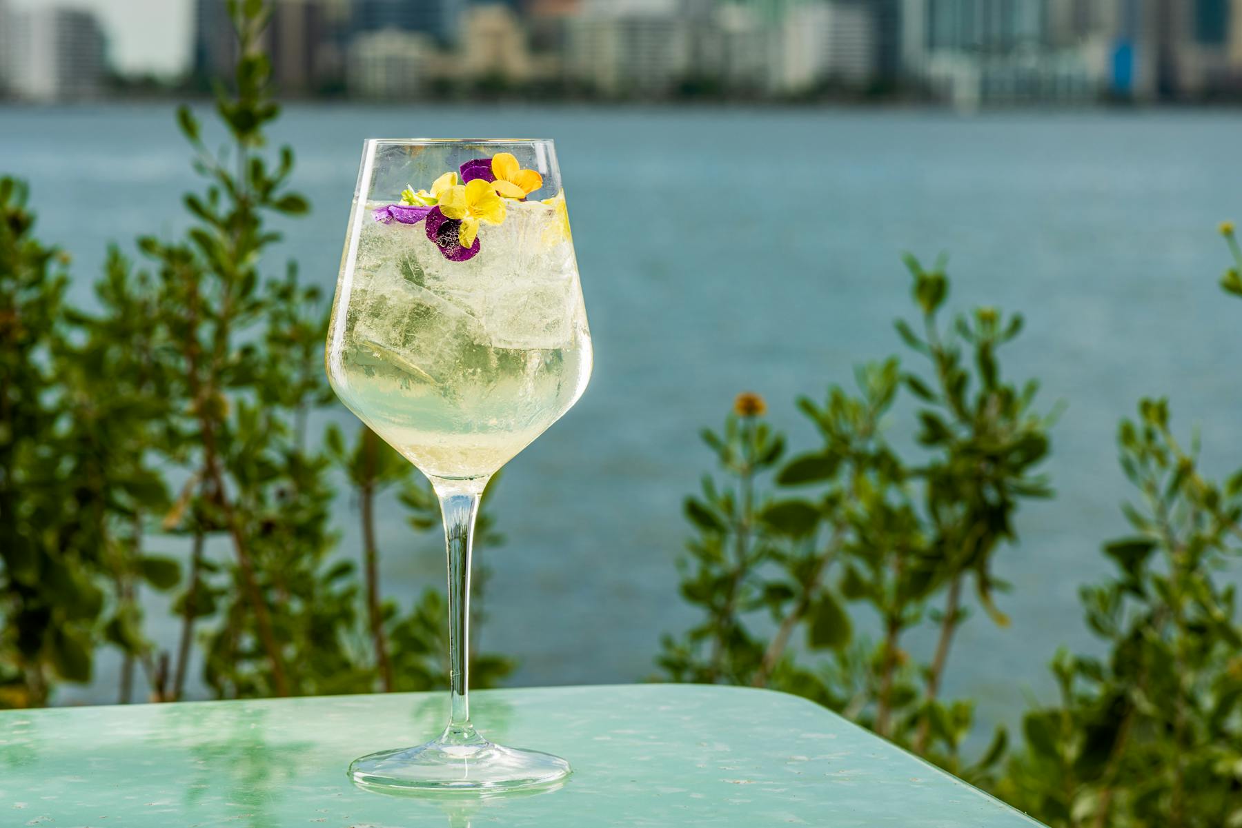 gin cocktail with view