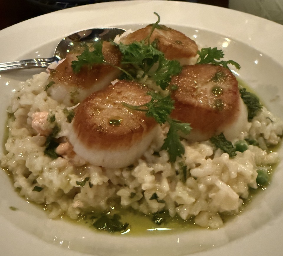 Scallop Risotto