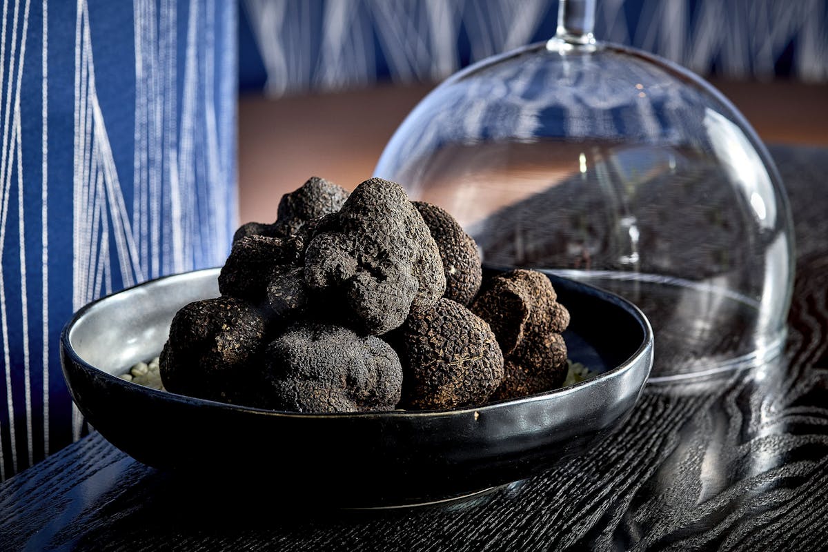 black truffles in cloche