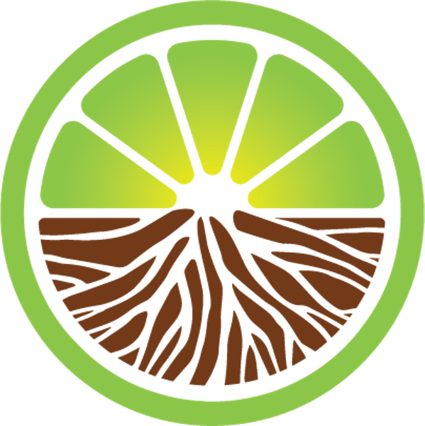 About Us Treehouse A magical oasis perched atop the West Palm