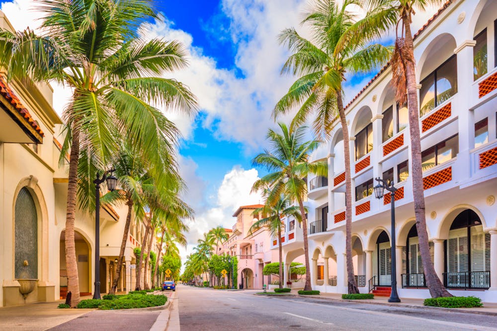 a palm tree in front of a building