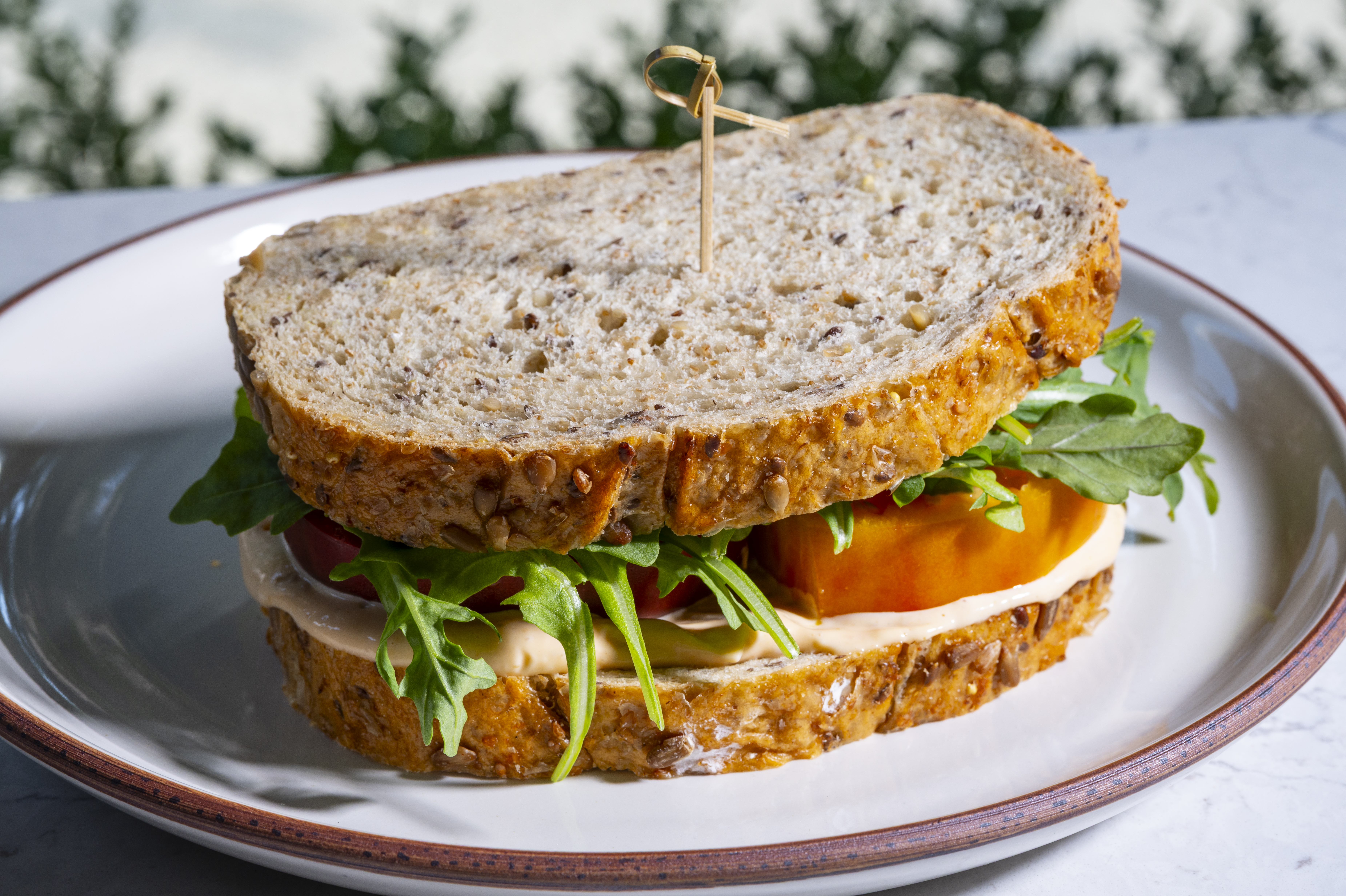 a sandwich cut in half on a plate