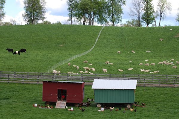 Photo of Kinderhook Farm