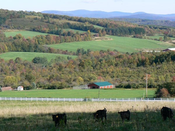 Photo of Greenane Farms