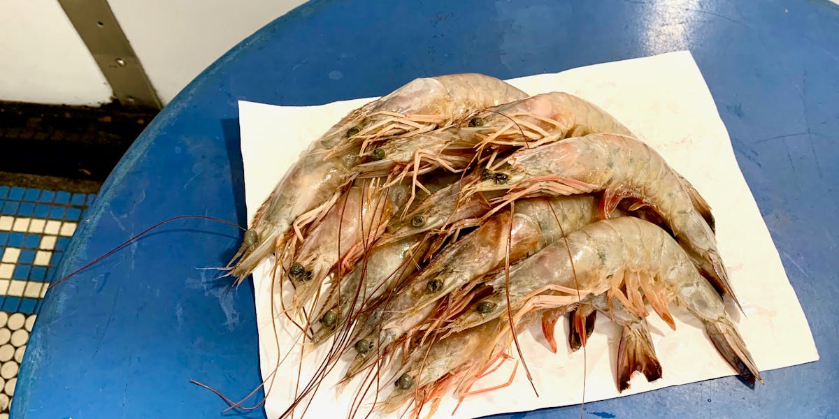 Shrimp Marlow Daughters Whole Animal Butchers In Nyc Shrimp Marlow Daughters Whole Animal Butchers In Nyc