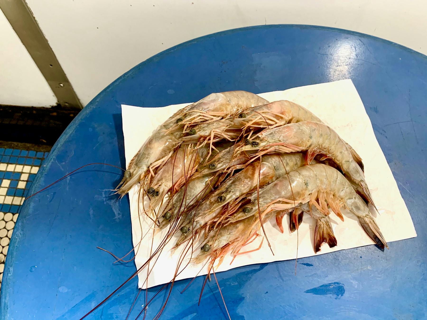 Shrimp Marlow Daughters Whole Animal Butchers In Nyc Shrimp Marlow Daughters Whole Animal Butchers In Nyc