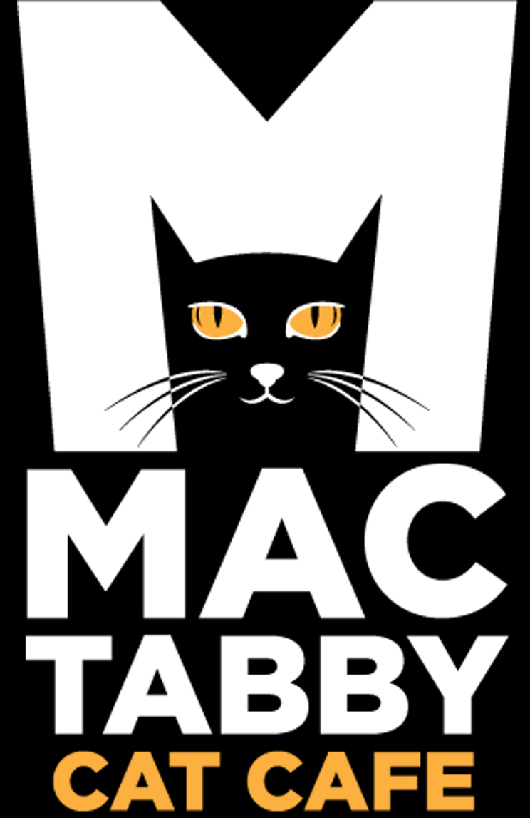 Mac Tabby Cat Cafe Home