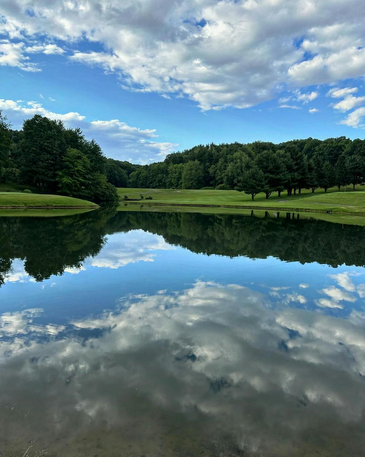 a large body of water surrounded by trees