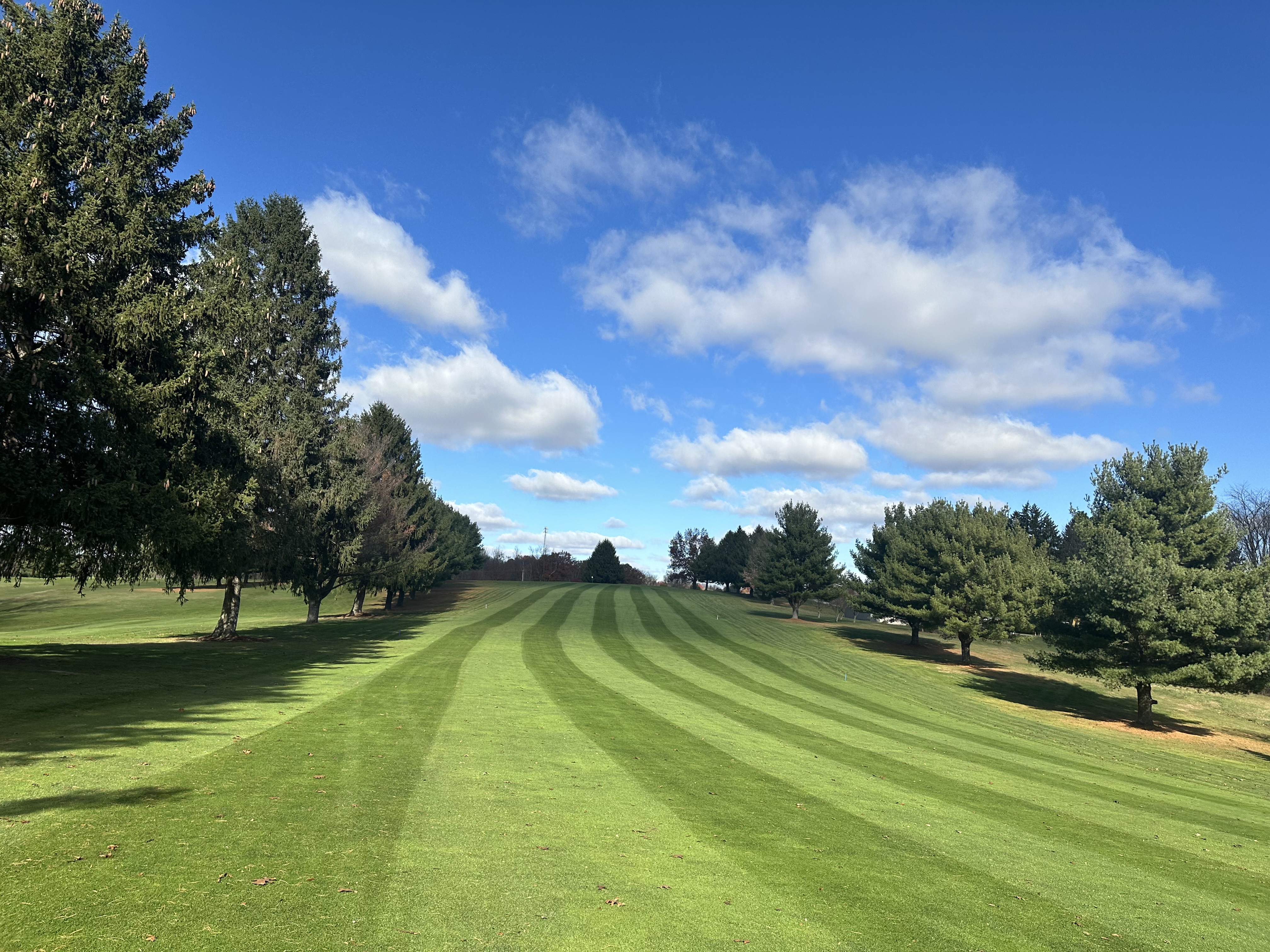 a large green field with trees in the background